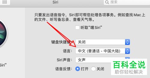 mac电脑怎么用英文与sifi对话
