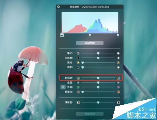 mac系统中怎么用自带的预览工具将图片变成黑白色?