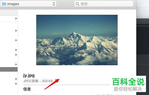 mac版钉钉中群直播时怎么进行图片直播
