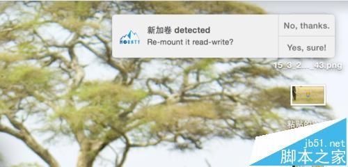 mac移动硬盘不能写入该怎么办? mac移动硬盘不能写入的解决办法