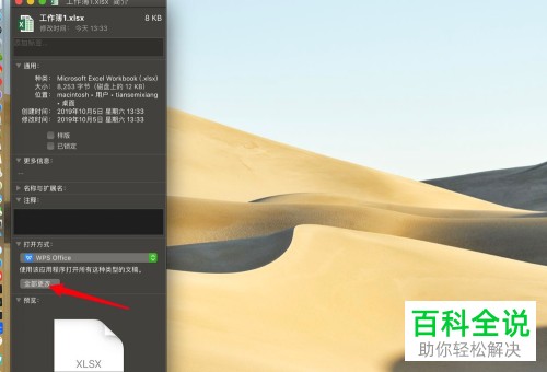 Mac电脑中的文件打开方式怎么从微软修改为WPS