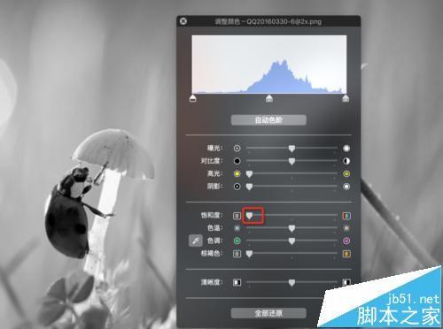 mac系统中怎么用自带的预览工具将图片变成黑白色?