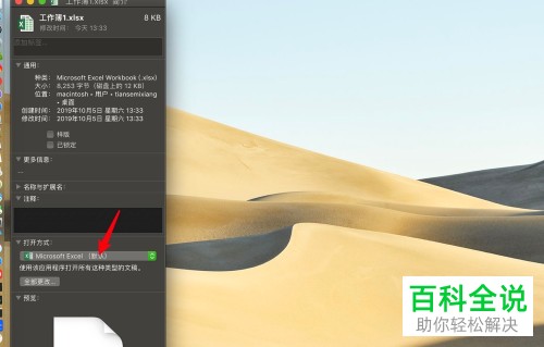 Mac电脑中的文件打开方式怎么从微软修改为WPS