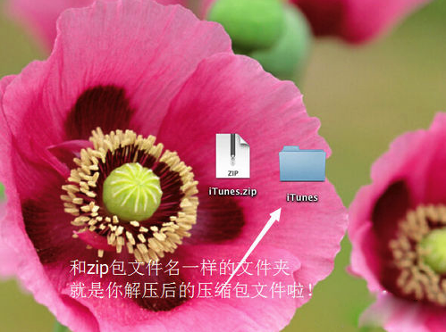 Mac怎么压缩和解压文件?