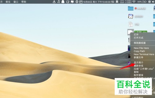 Mac电脑中的文件打开方式怎么从微软修改为WPS