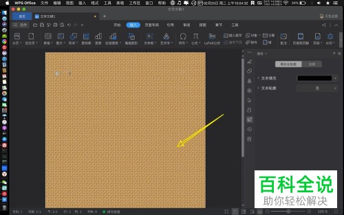 Mac WPS怎么给背景设置纹理图案