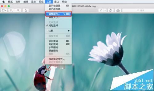 mac系统中怎么用自带的预览工具将图片变成黑白色?