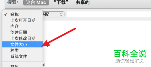Mac电脑怎么通过过滤搜索大型文件