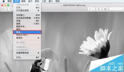 mac系统中怎么用自带的预览工具将图片变成黑白色?