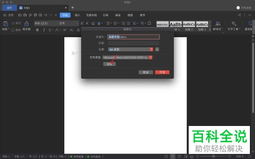 Mac版WPS Office如何加密文件