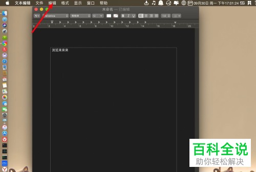Mac电脑如何在文本编辑中插入分页