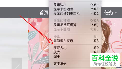 Mac苹果电脑的浏览器页面如何放大缩小