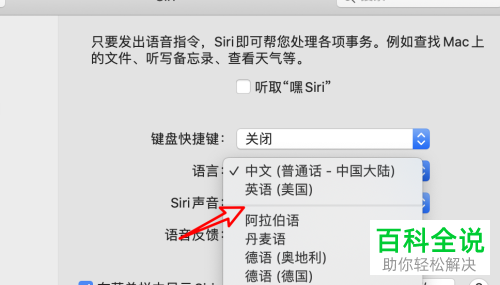mac电脑怎么用英文与sifi对话