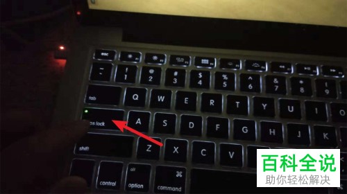 Mac电脑如何切换大小写、中英文