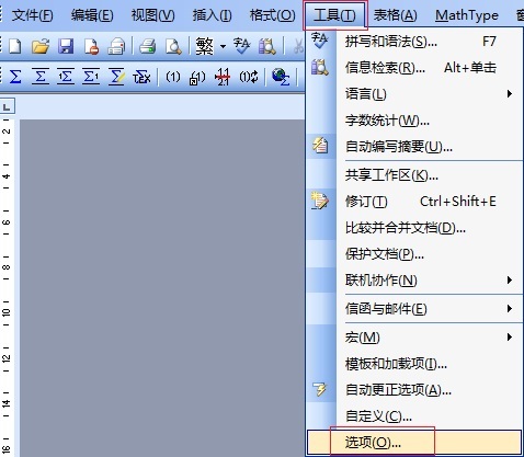 MathType公式显示方框怎么办