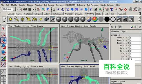maya镜像复制工作平台了解