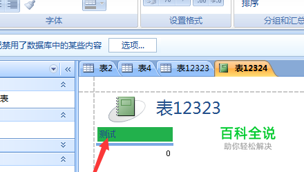 Microsoft Office Access数据库报表背景颜色
