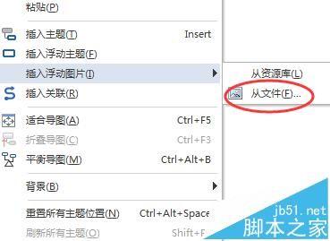 MindManager2016思维导图怎么从文件插入图像?