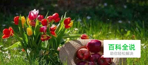 MP4格式转换器手机版