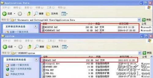 MSAPI.DAT,WINDNSAPI.DAT是什么文件