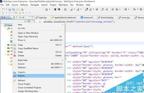 myEclipse10怎么导入文件?myEclipse导入文件/压缩文件的方法