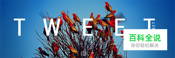 你的平面设计风格隐藏着你的个性