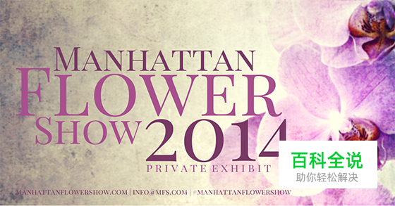 你的平面设计风格隐藏着你的个性