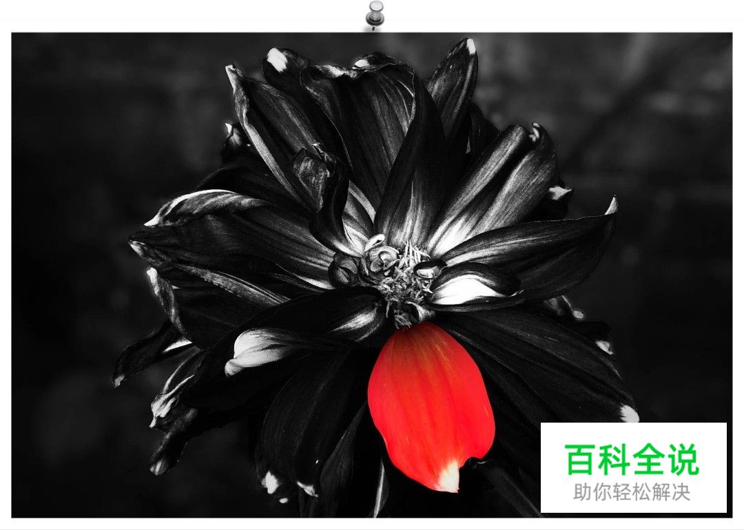 你的作品平平无奇，问题很可能在这