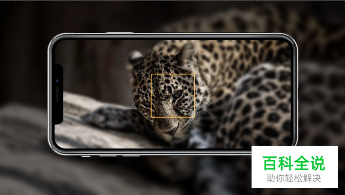 你的作品平平无奇，问题很可能在这