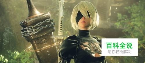 尼尔：机械纪元怎么录像