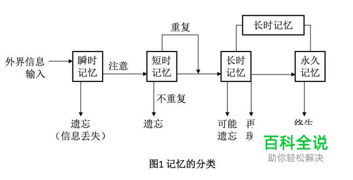 你看过的视频也许自己都忘记了,但它还帮你记得~
