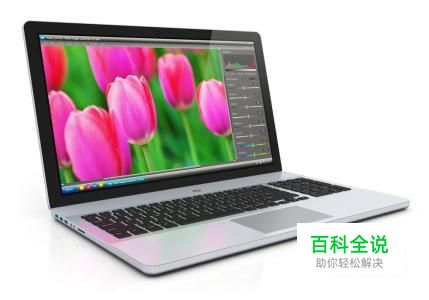 女生怎样选择合适的笔记本电脑