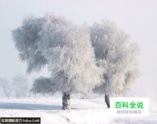 浓雾雪景的三大拍摄技法