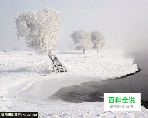 浓雾雪景的三大拍摄技法