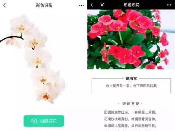 你一定要收下!几款脑洞大开又非常实用的微信小程序推荐