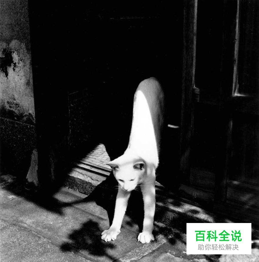 你真的懂什么是日系摄影吗？