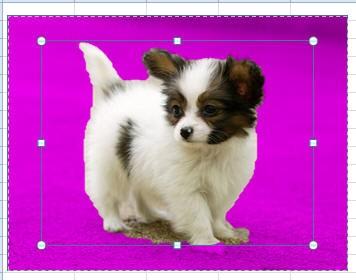 Office2010中功能强大的图片背景删除工具