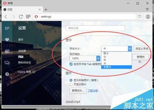 opera欧朋浏览器怎么自定义设置网页字体的大小?