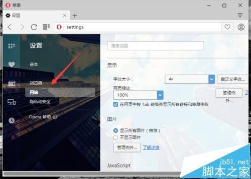 opera欧朋浏览器怎么自定义设置网页字体的大小?