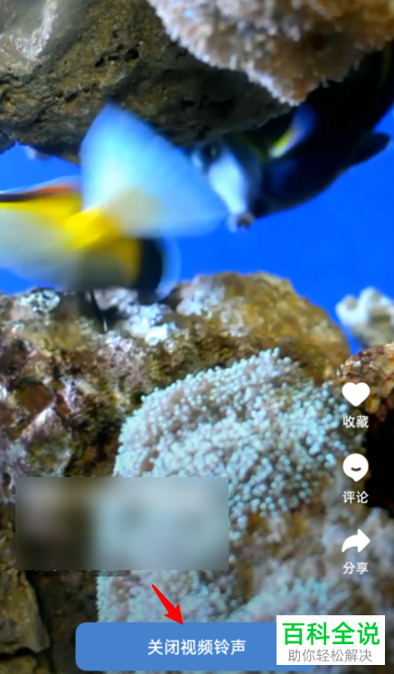 OPPO手机中的视频铃声如何设置关闭