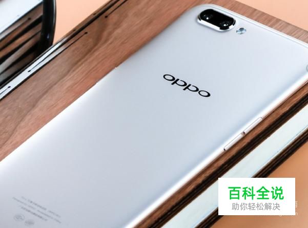 oppo手机的语音拍照功能在哪里开启