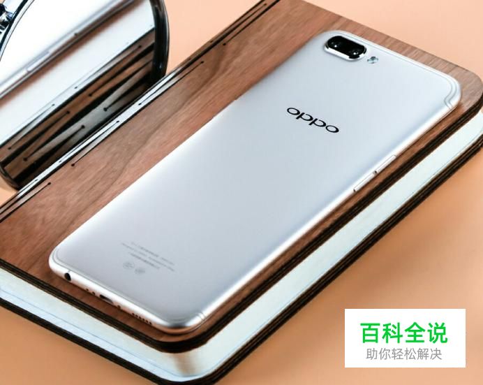 OPPO手机自带浏览器如何设置电脑网页？