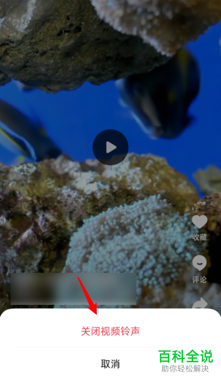 OPPO手机中的视频铃声如何设置关闭