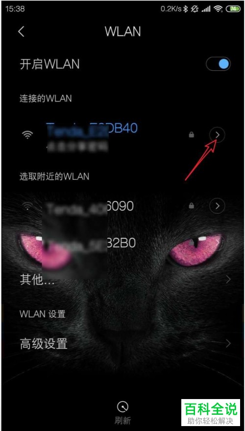 oppo手机连接WiFi怎么修改DNS地址