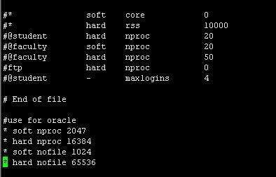 Oracle 10g 64位安装图解流程