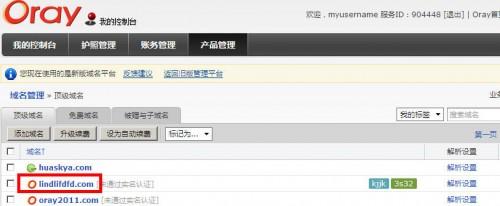 Oray如何设置.检测TXT记录