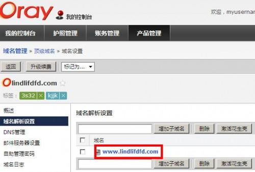 Oray如何设置.检测TXT记录