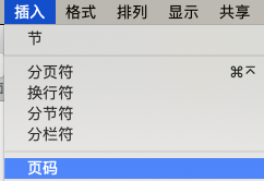 pages文件怎么插入页码? pages编辑页码的教程