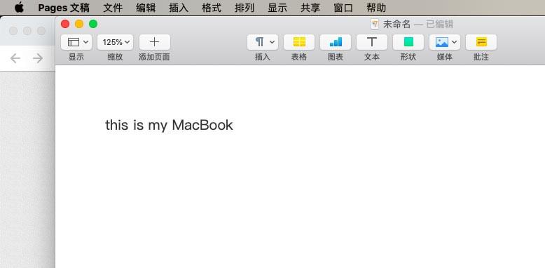 pages怎么开启检查拼写功能?