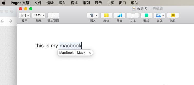 pages怎么开启检查拼写功能?